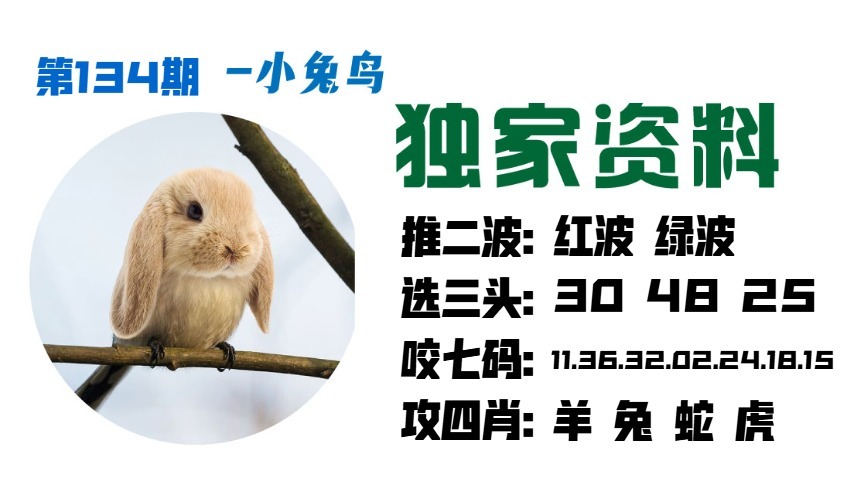 134期小兔鸟[图]